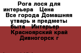Рога лося для интерьера › Цена ­ 3 300 - Все города Домашняя утварь и предметы быта » Интерьер   . Красноярский край,Дивногорск г.